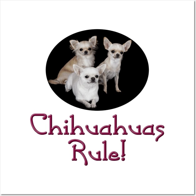 Chihuahuas Rule! Wall Art by Naves